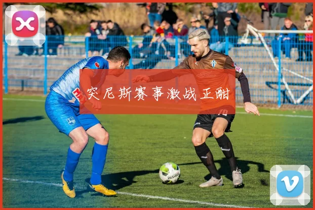 突尼斯赛事激战正酣