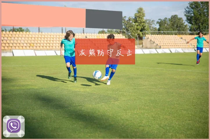 灰熊防守反击