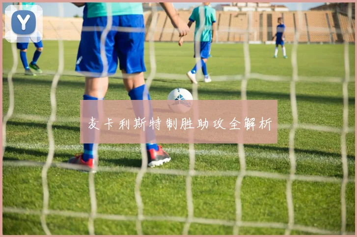 麦卡利斯特制胜助攻全解析