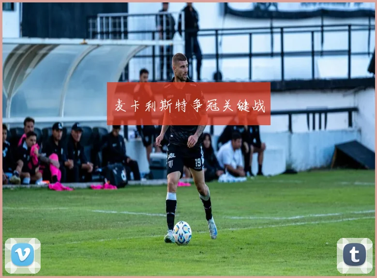 麦卡利斯特争冠关键战