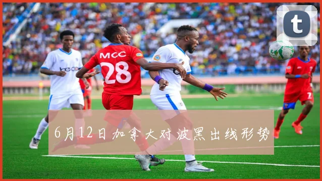 6月12日加拿大对波黑出线形势