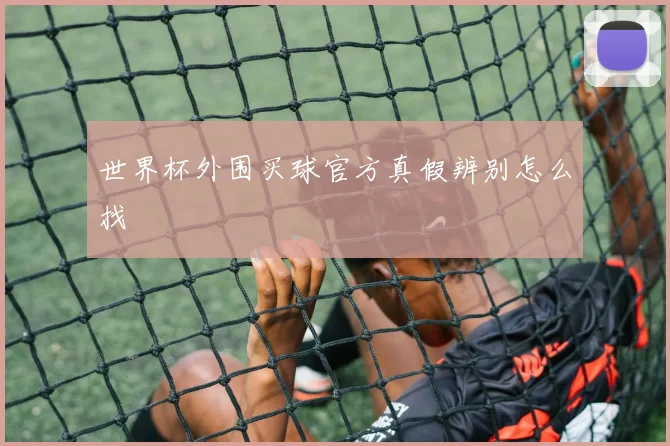 世界杯外围买球官方真假辨别怎么找