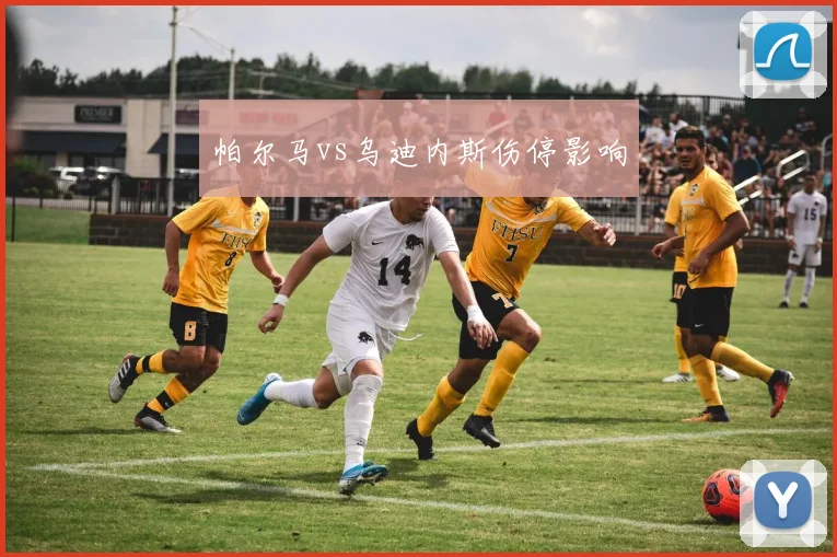 帕尔马vs乌迪内斯伤停影响