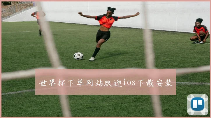 世界杯下单网站欢迎ios下载安装